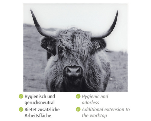 Küchenarbeitsplatte aus Glas mit Highlandrind Motiv