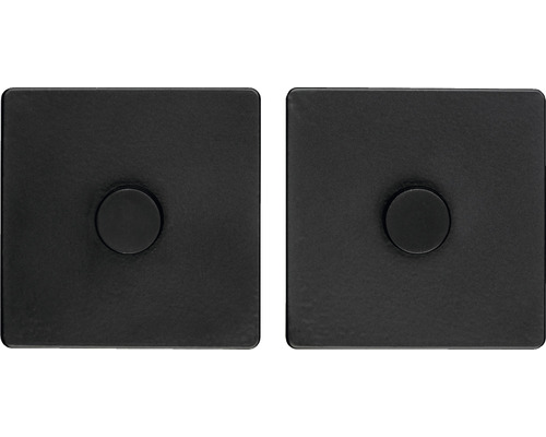 Deux boutons de meubles noirs en métal