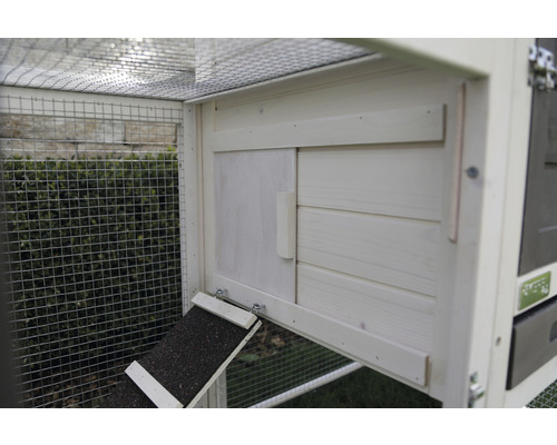 Detailansicht eines Hühnerstalls mit Hühnerleiter und Tür