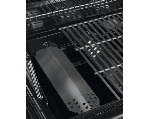 Intérieur d''un gril avec grille et diffuseur de flamme