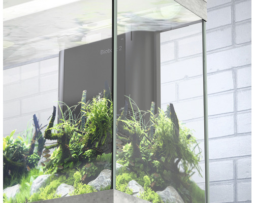 Aquarium avec plantes et filtre