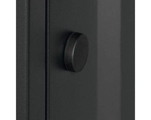 Detailansicht eines Möbeltürknopfes