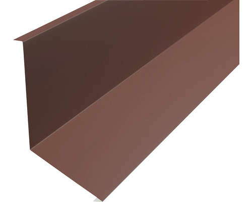 Profilé de bord de toit en métal