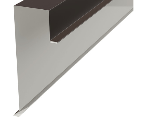 Profilé de bord de toit en métal