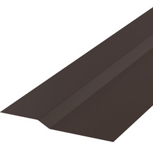 Ortgangblech aus Metall