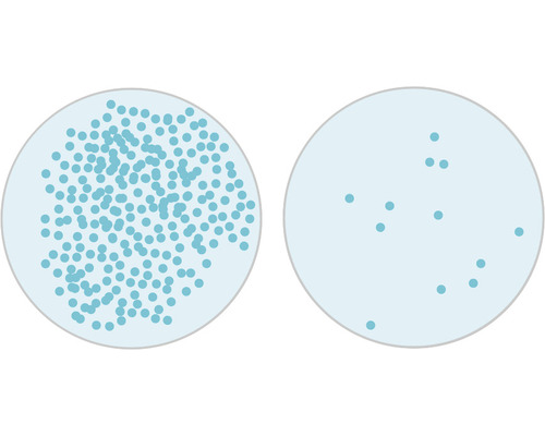 Représentation de la croissance bactérienne dans une boîte de Pétri