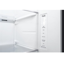 Réfrigérateur américain LG GSJV71PZLE 913 x 1790 x 735 mm-thumb-16