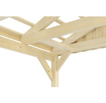 Carport simple SKAN Holz Fichtelberg 423 x 808 cm naturel
