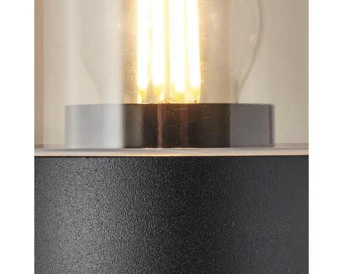 Vue détaillée d''un luminaire extérieur avec insert en verre et source lumineuse