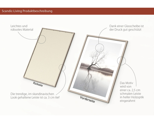 Bilderrahmen mit Glasabdeckung und Holzrahmen, Vorder- und Rückansicht