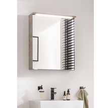 Spiegelschrank FACKELMANN Oxford 60.2 x 20 x 69.6 cm eiche natur 1-türig LED IP 20