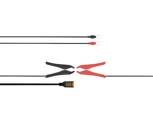 Câble de charge de batterie avec pinces et cosses à anneau
