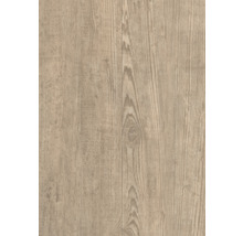 Sol vinyle Natural Fichte Ecru plancher de maison de campagne raccord à clipser 1220 x 185 x 10,5 mm