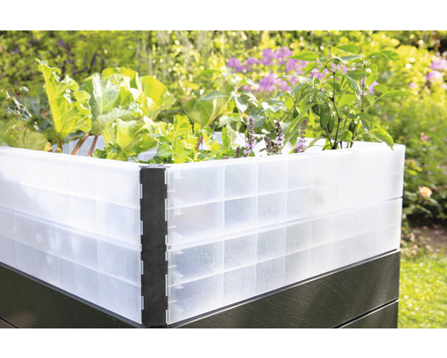 Jardinière surélevée en plastique avec plantes dans le jardin