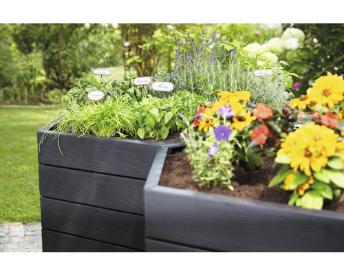 Hochbeet aus Holz bepflanzt mit Kräutern und Blumen im Garten.