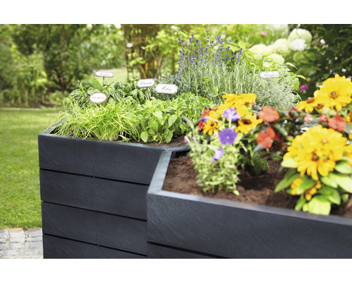 Hochbeet mit Kräutern und Blumen im Garten