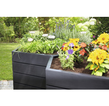Carré potager classique GARANTIA ERGO Vario 1 avec système d'économie d'eau Flora 190 x 190 x 50 cm wood