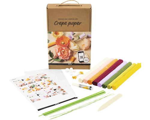Kit d'apprentissage papier crépon, couleurs assorties Boîte en carton avec kit de bricolage en papier crépon comprenant des rouleaux de papier crépon, de la colle, du fil à fleuriste, des formes en papier et des instructions