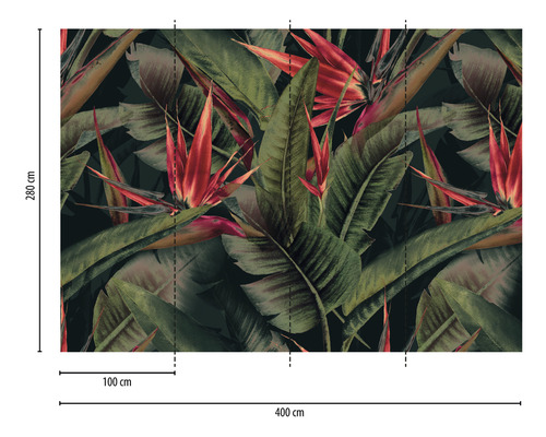 Papier peint photo avec fleurs et feuilles d''oiseaux de paradis, dimensions 400 cm x 280 cm