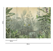 Fototapete mit Dschungelmotiv, 400 cm breit und 280 cm hoch