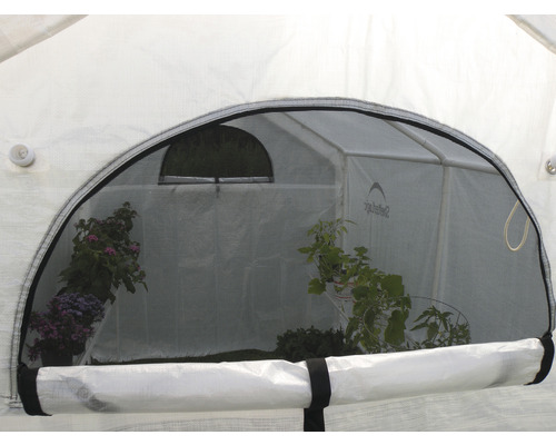 Detailansicht eines Gewächshauses mit Pflanzen