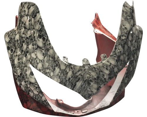 Motorrad-Frontverkleidung mit Schädelmuster