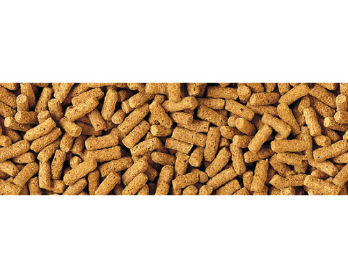 Futterpellets im Detail