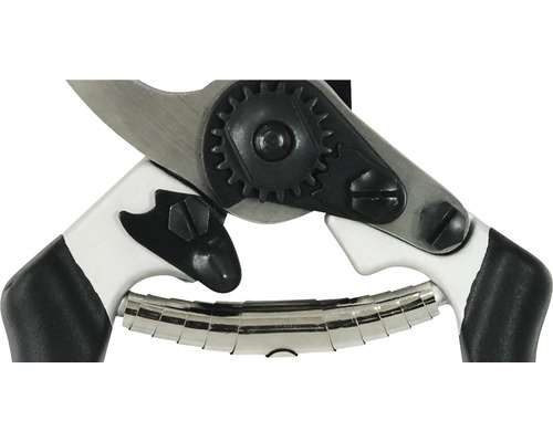 Nahaufnahme einer Gartenschere mit Stahlklingen, einem Getriebe und einem Griff