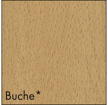 Texture de bois de hêtre