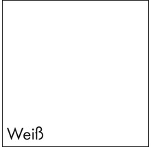 Échantillon de couleur en blanc