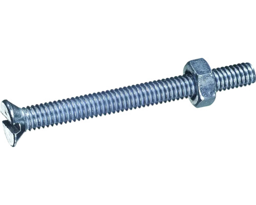 Schlitzschraube mit Mutter