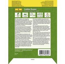 Sachet de graines de haricots nains Golden Teepee de la marque FloraSelf