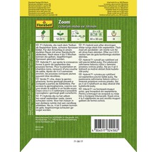 FloraSelf Zoom Zichorie Saatgutpackung