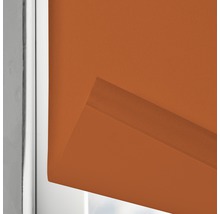 Rollosichtschutz am Fenster