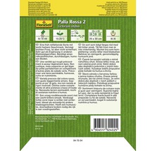 FloraSelf Palla Rossa 2 Zichorie-Saatgutpackung