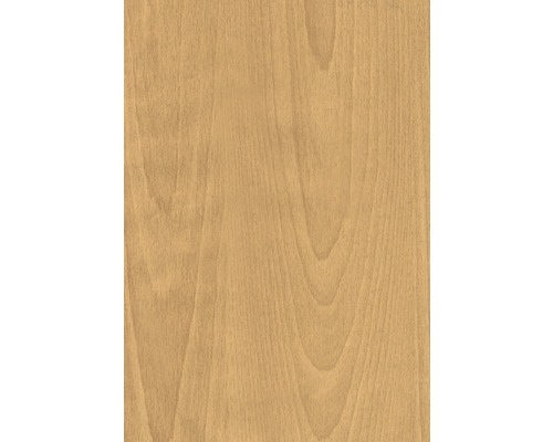 Texture de bois, gros plan
