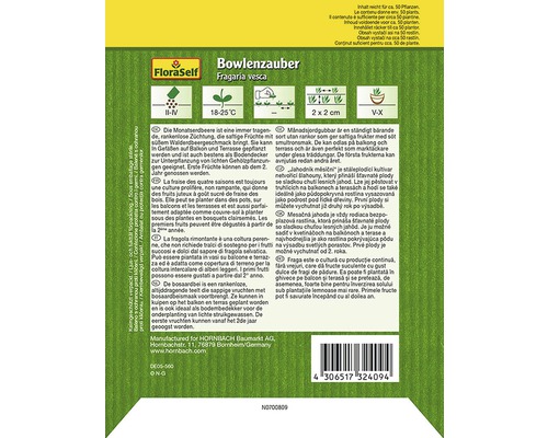 FloraSelf Bowlenzauber Fragaria vesca Erdbeersamenpackung
