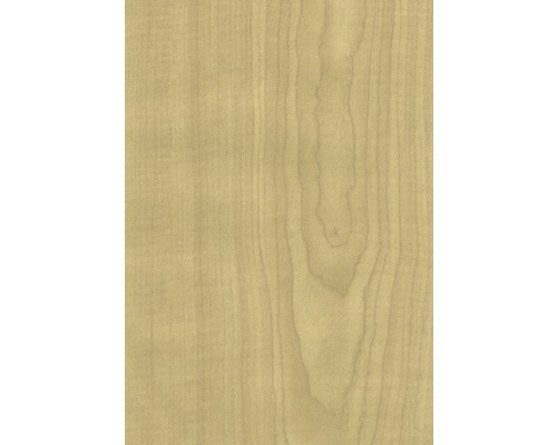 Texture du bois