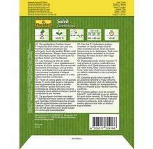 Sachet de graines FloraSelf Soleil Cucurbita Pepo