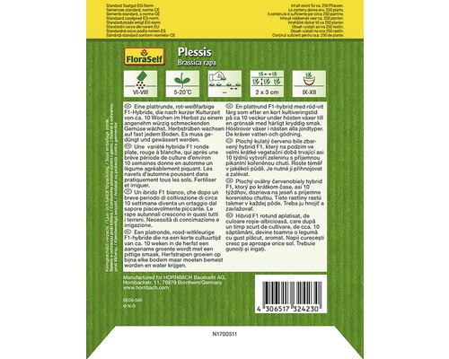 Samenpackung für Speiserübe Plessis der Sorte Brassica rapa