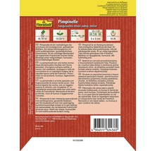 Informations sur la plante Pimpinelle Sanguisorba minor subsp. minor