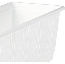 Jardinière Geli Standard, plastique, 60x17x14 cm, blanc