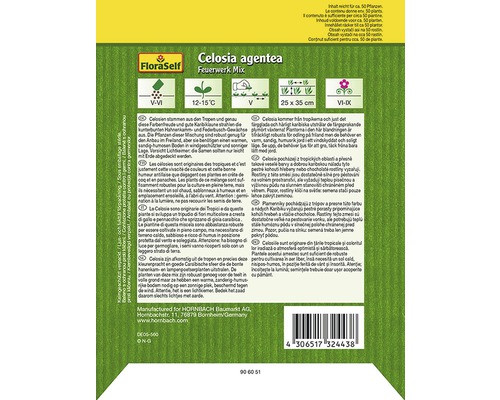 Sachet de graines Celosia argentea Feuerwerk Mix