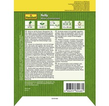 FloraSelf Nelly Ciboulette Allium schoenoprasum Emballage de semences avec des informations sur le semis, l''emplacement et l''utilisation