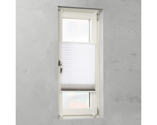 Fenêtre avec store plissé pour protection visuelle