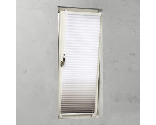 Fenêtre avec store plissé pour protection solaire