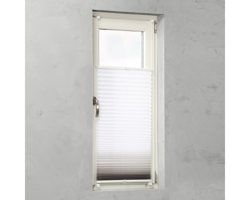 Fenêtre avec store plissé pour réguler la lumière