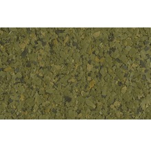 Nourriture en flocons Tetra Phyll 1 l