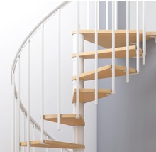 Escalier en colimaçon Pertura Cleon hêtre Multiplex Ø 120 cm blanc 11 marches 12 pas de marche-thumb-5
