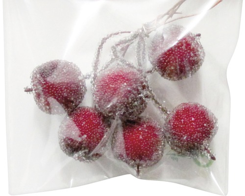Baies rouges décoratives dans un sachet transparent